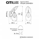 Бра Citilux CL420313 Garuda
