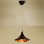 Светильник подвесной Citilux CL450209 Эдисон