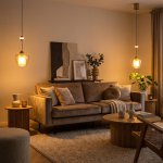 Citilux NORT CL475021 Подвесной светильник