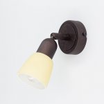 Светильник поворотный спот Citilux CL506514 Ронда