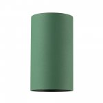 Citilux AXEL CL512115 Накладной светильник Зелёный
