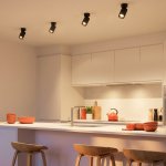 Citilux AXEL CL512211 Накладной поворотный светильник Чёрный