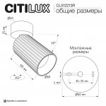 Citilux AXEL CL512213R Накладной поворотный светильник Бронза Рифлёный