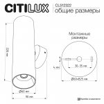 Citilux AXEL CL512322 Настенный светильник Латунь