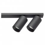 Citilux AXEL CL512521R Спот поворотный двойной Чёрный Рифлёный