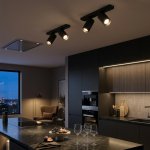 Citilux AXEL CL512521 Спот поворотный двойной Чёрный