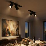 Citilux AXEL CL512521 Спот поворотный двойной Чёрный