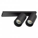 Citilux AXEL CL512521 Спот поворотный двойной Чёрный