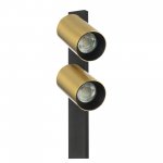 Citilux AXEL CL512522 Спот поворотный двойной Латунь
