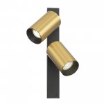 Citilux AXEL CL512522 Спот поворотный двойной Латунь