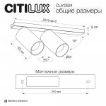 Citilux AXEL CL512524 Спот поворотный двойной Терракот