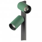 Citilux AXEL CL512525 Спот поворотный двойной Зелёный