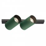 Citilux AXEL CL512525 Спот поворотный двойной Зелёный