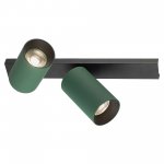Citilux AXEL CL512525 Спот поворотный двойной Зелёный