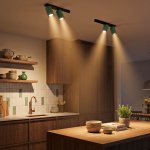 Citilux AXEL CL512525 Спот поворотный двойной Зелёный