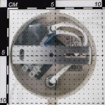 Светильник поворотный спот Citilux CL519525 Винон