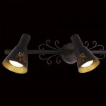 Светильник настенный бра Citilux CL529531 Дункан