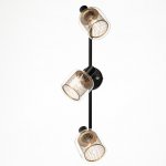 Спот Citilux CL530535 Смит