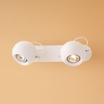 Светильник настенно-потолочный Citilux cl532522 Сфера