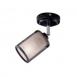 Светильник настенно-потолочный Citilux CL535511 Робин