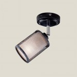 Светильник настенно-потолочный Citilux CL535511 Робин