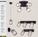 Светильник настенно-потолочный Citilux CL535521 Робин