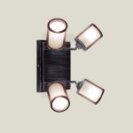 Светильник настенно-потолочный Citilux CL535541 Робин