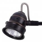 Светильник настенно-потолочный Citilux CL537521 Веймар