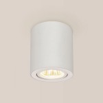 Светильник накладной Citilux CL538111 Дюрен