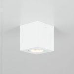 Светильник накладной Citilux CL538211 Дюрен