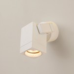 Светильник настенно-потолочный Citilux cl538611 Дюрен