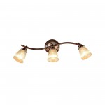 Светильник настенно-потолочный Citilux CL539531 Виндзор