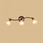 Светильник настенно-потолочный Citilux CL539531 Виндзор