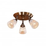 Светильник настенно-потолочный Citilux CL539631 Виндзор