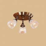 Светильник настенно-потолочный Citilux CL539631 Виндзор