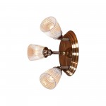 Светильник настенно-потолочный Citilux CL539631 Виндзор