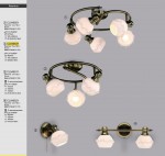 Светильник настенно-потолочный Citilux CL540531 Кампана