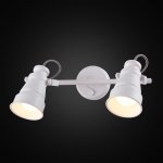 Спот поворотный Citilux CL541520 Бейкер