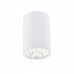 Потолочный светильник Citilux CL558100 Стамп