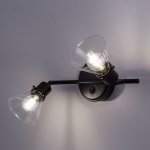 Спот поворотный Citilux CL564521 Бисмарк