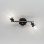 Спот поворотный Citilux CL564521 Бисмарк