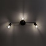 Спот поворотный Citilux CL564531 Бисмарк