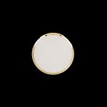 Светильник настенно-потолочный Citilux CL702162W Луна