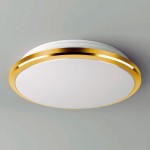 Светильник настенно-потолочный Citilux CL702222W Луна