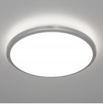 Светильник накладной Citilux CL70224V Луна