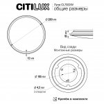 Светильник накладной Citilux CL70224V Луна