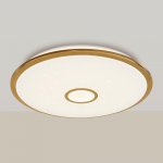 Люстра потолочная Citilux CL703102RGB Старлайт