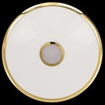 Светильник с пультом Citilux CL703102R Старлайт