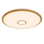 Светильник с пультом Citilux CL703102R Старлайт