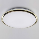 Люстра потолочная Citilux CL70362 Старлайт